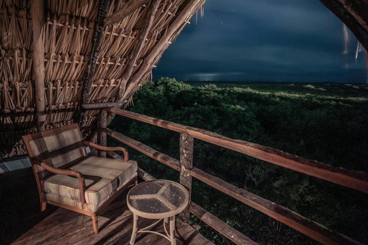 Hidden Treehouse Tulum Eco-Hotel エクステリア 写真