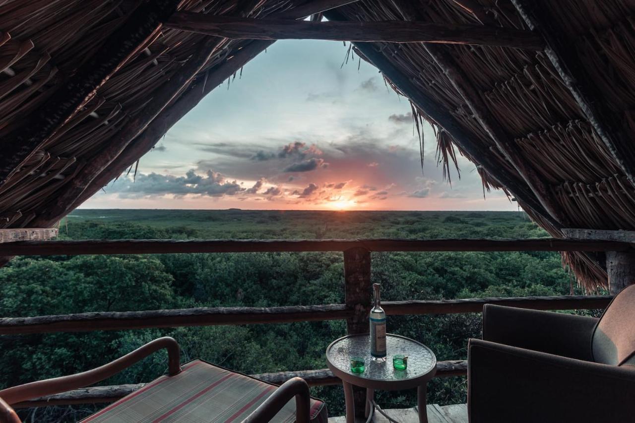 Hidden Treehouse Tulum Eco-Hotel エクステリア 写真