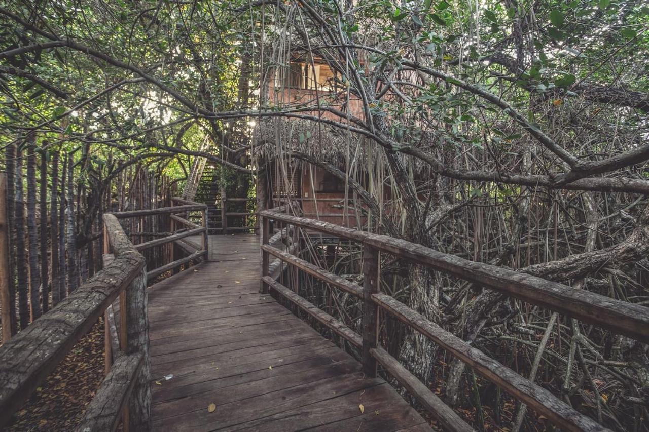 Hidden Treehouse Tulum Eco-Hotel エクステリア 写真