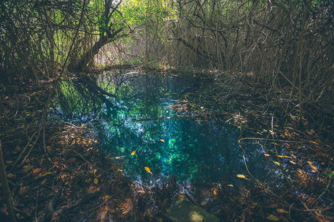 Hidden Treehouse Tulum Eco-Hotel エクステリア 写真