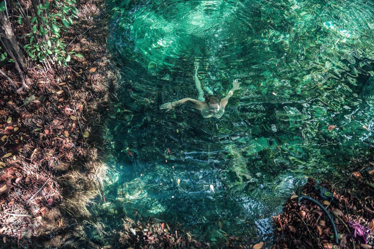 Hidden Treehouse Tulum Eco-Hotel エクステリア 写真